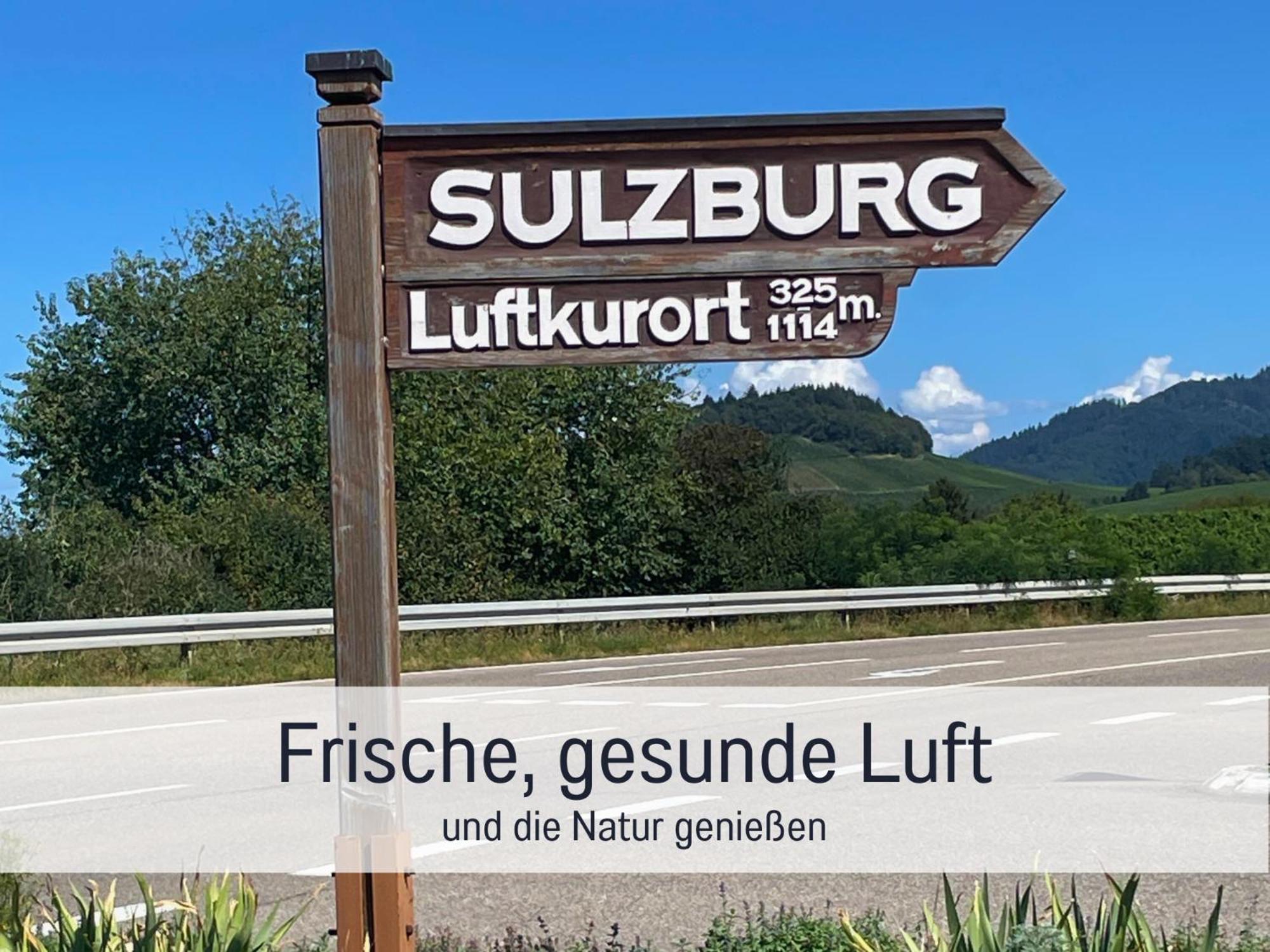 Ferienwohnungen Auszeit Langmatt Sulzburg Kültér fotó