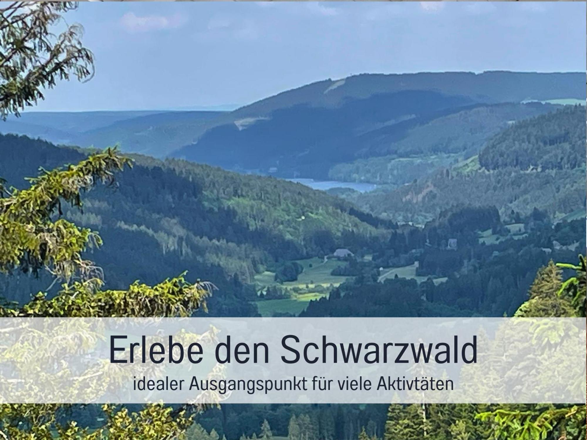 Ferienwohnungen Auszeit Langmatt Sulzburg Kültér fotó