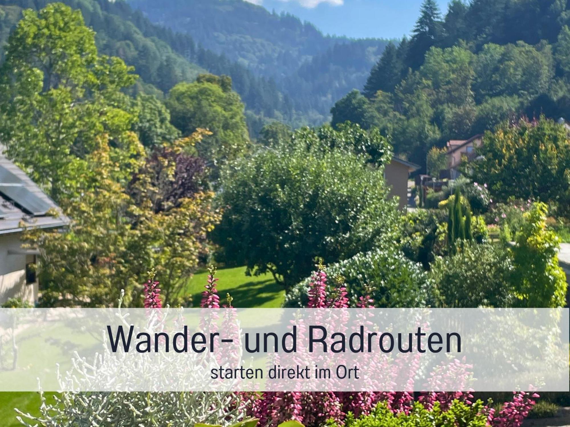 Ferienwohnungen Auszeit Langmatt Sulzburg Kültér fotó