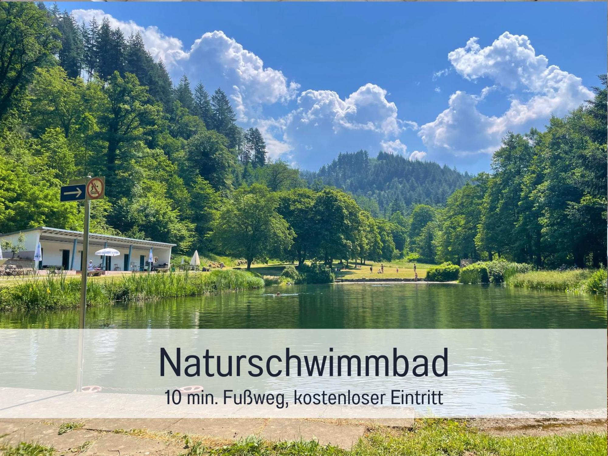 Ferienwohnungen Auszeit Langmatt Sulzburg Kültér fotó