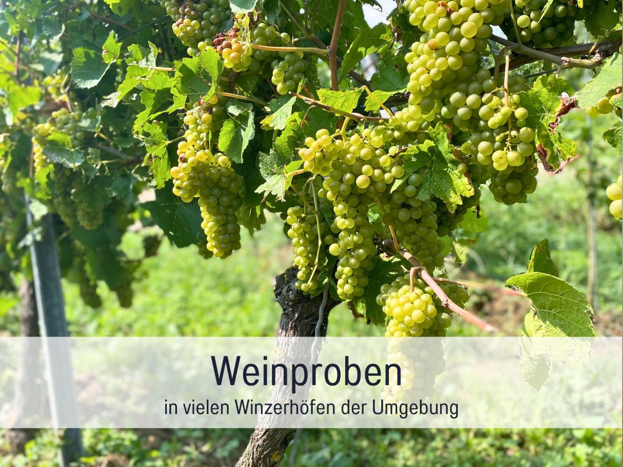 Ferienwohnungen Auszeit Langmatt Sulzburg Kültér fotó