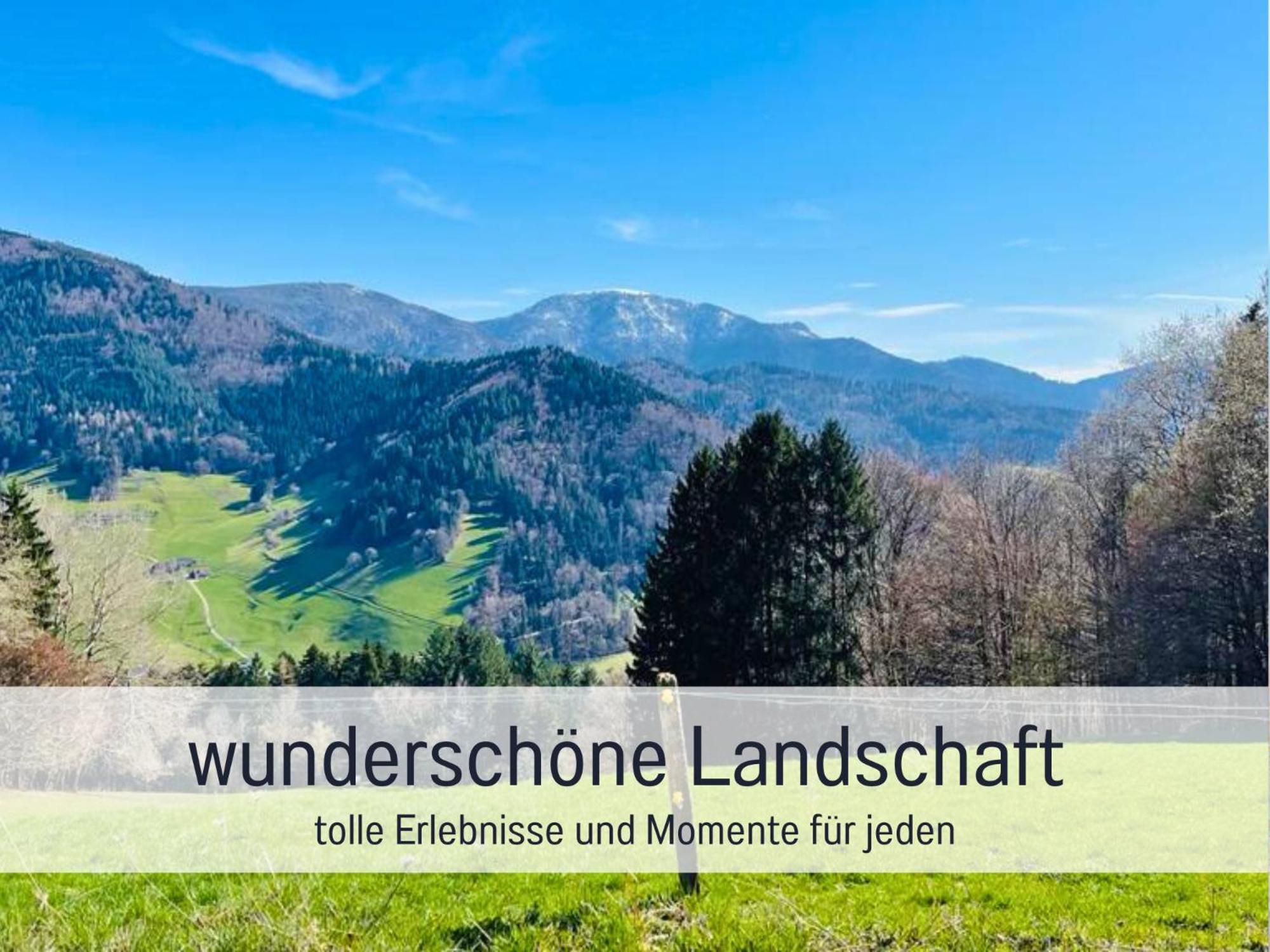Ferienwohnungen Auszeit Langmatt Sulzburg Kültér fotó
