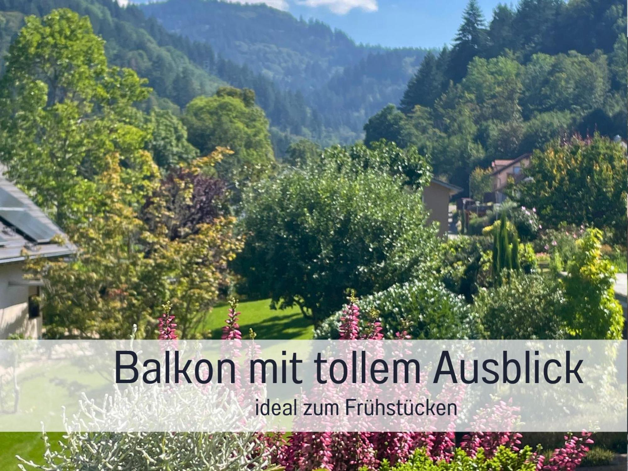 Ferienwohnungen Auszeit Langmatt Sulzburg Kültér fotó